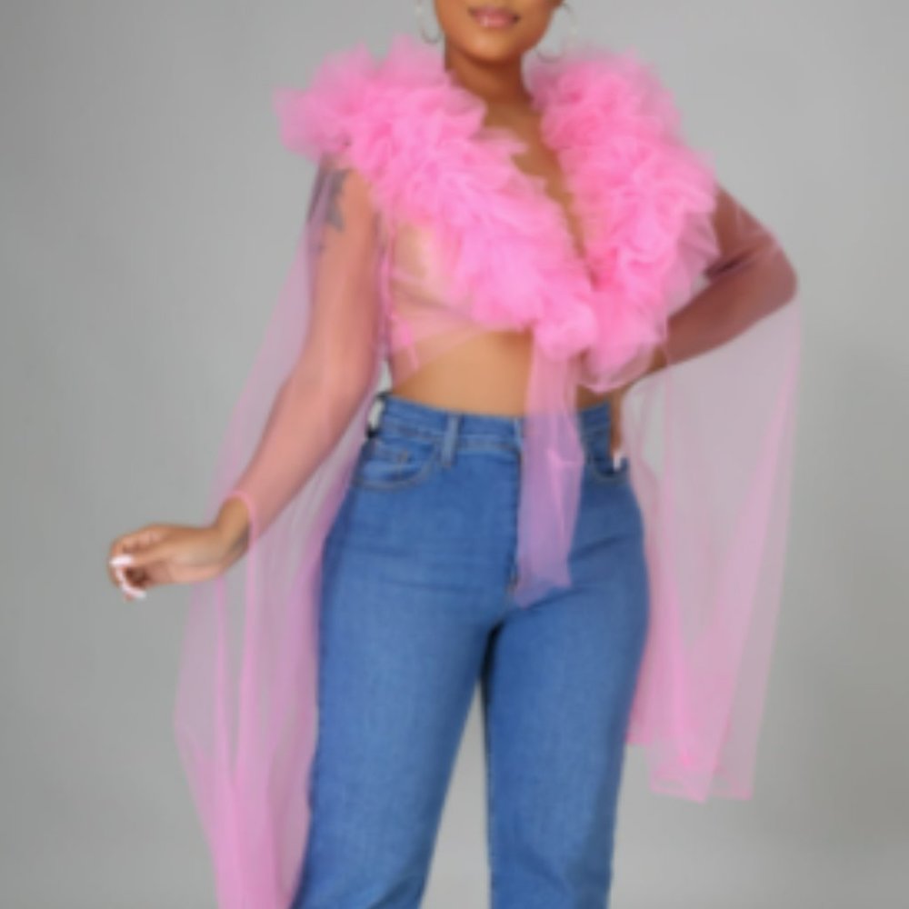 Sheer Ruffled Blouse